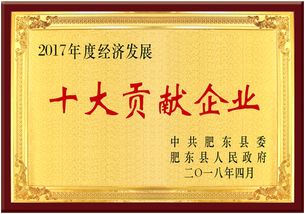 熱烈慶祝安徽皖信人力資源管理榮獲肥東縣經(jīng)濟(jì)發(fā)展大會雙項獎，樹立人力資源服務(wù)新標(biāo)桿